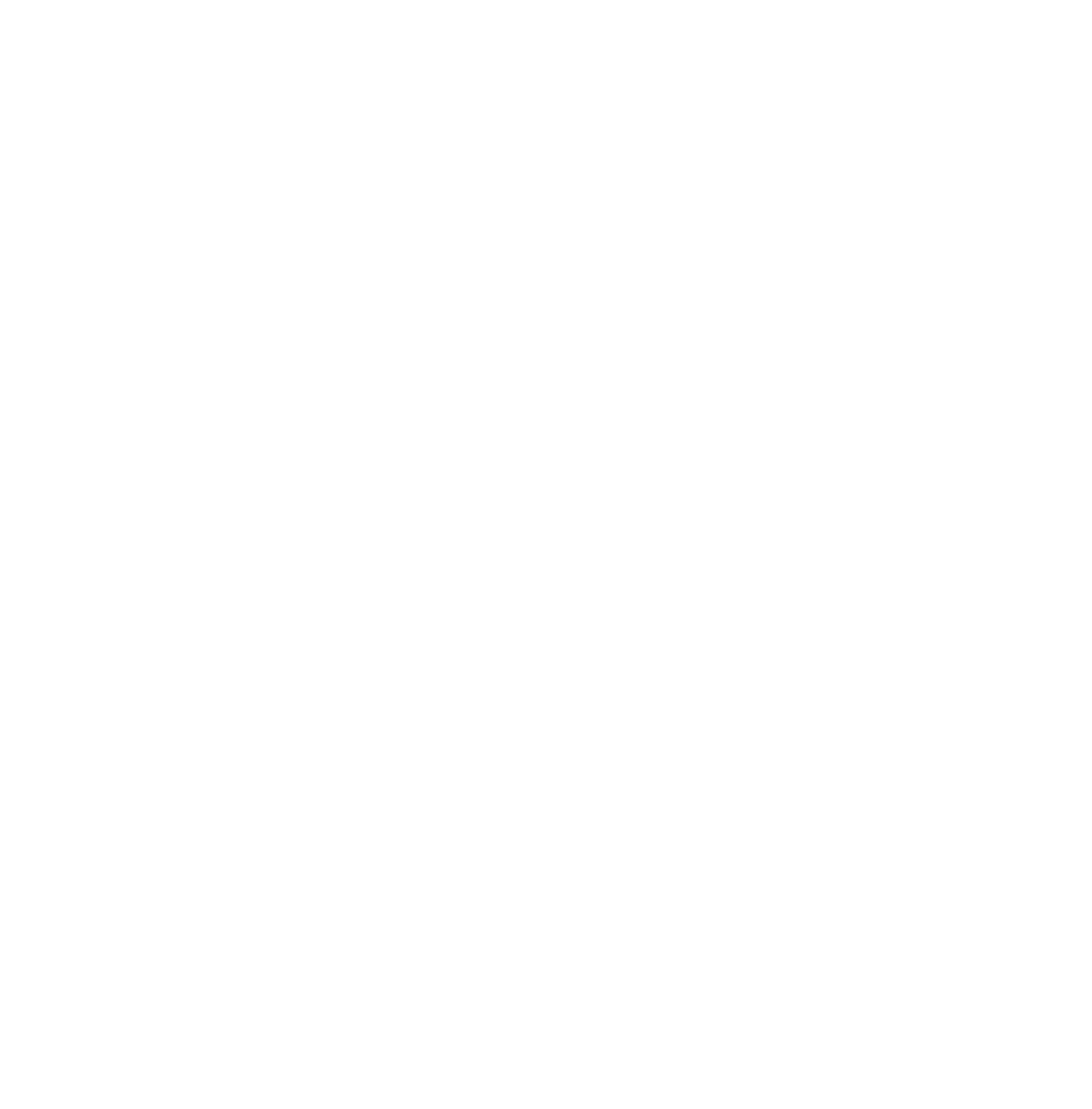 Premium Tea Blends for Everyone